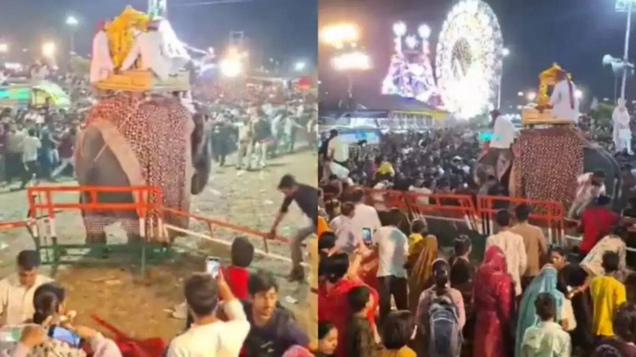 कोटा दशहरा मेले में हाथी की भगदड़ ने मचाई अफरा-तफरी, रावण दहन अधूरा रहा