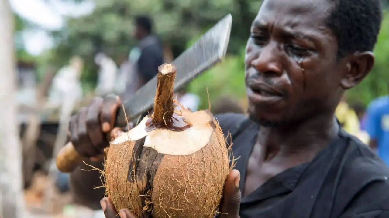 इंडोनेशिया की लामाहोलोट जनजाति का नारियल फोड़ने का अनुष्ठान