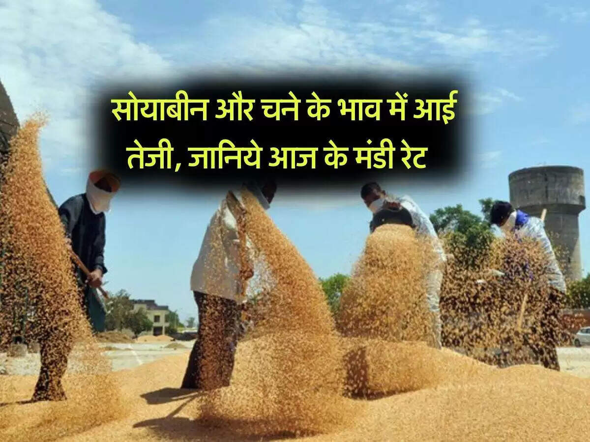 कोटा मंडी में फसलों के दामों में उछाल, जानें ताजा भाव