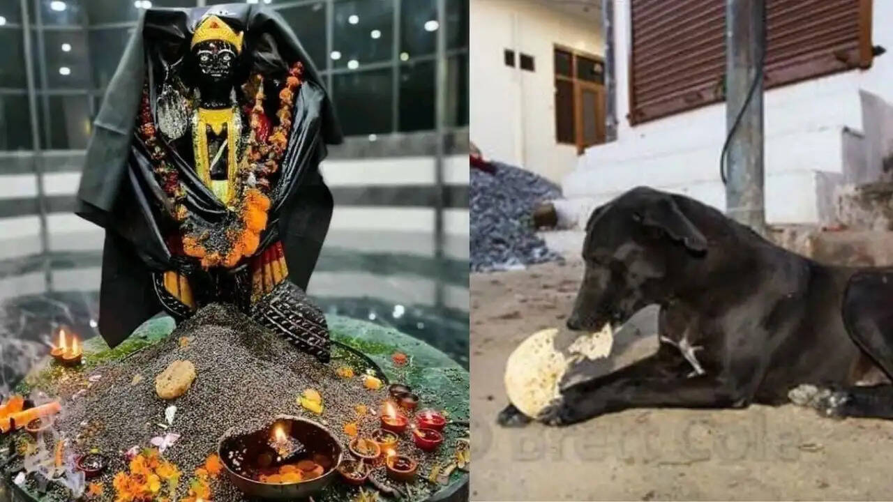 शनि देव को प्रसन्न करने के सरल उपाय: जीवन में सुख और सफलता के लिए