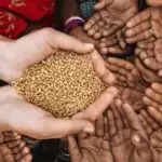 पौष अमावस्या पर दान देने के लाभ और विशेष वस्तुएं