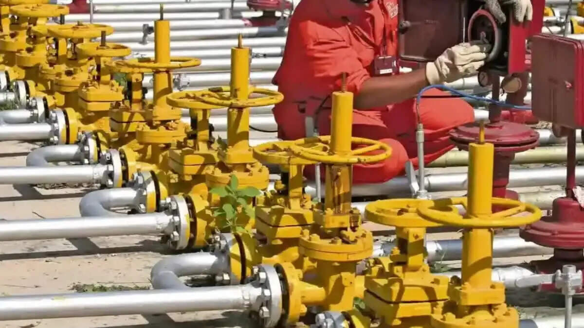 गाजियाबाद में घरेलू गैस सिलेंडर की कालाबाजारी पर कार्रवाई, स्कूलों को प्राथमिकता