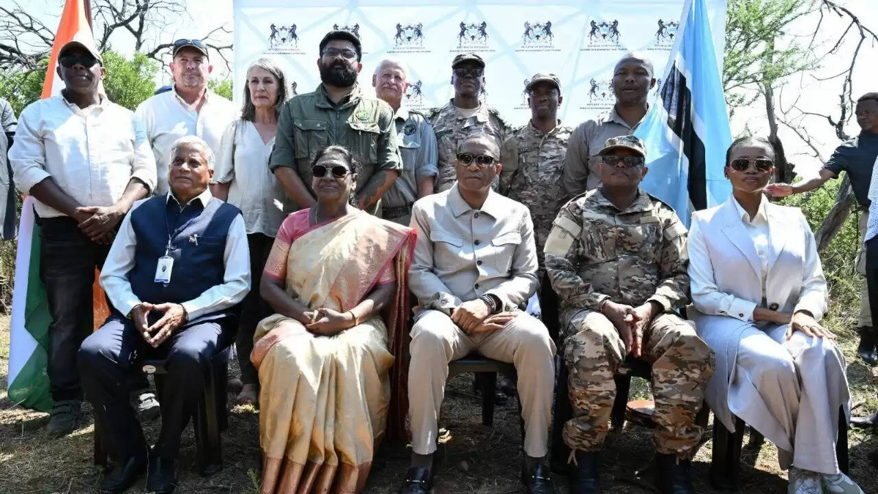 भारत को मिले आठ नए चीते, बोत्सवाना से किया गया हस्तांतरण