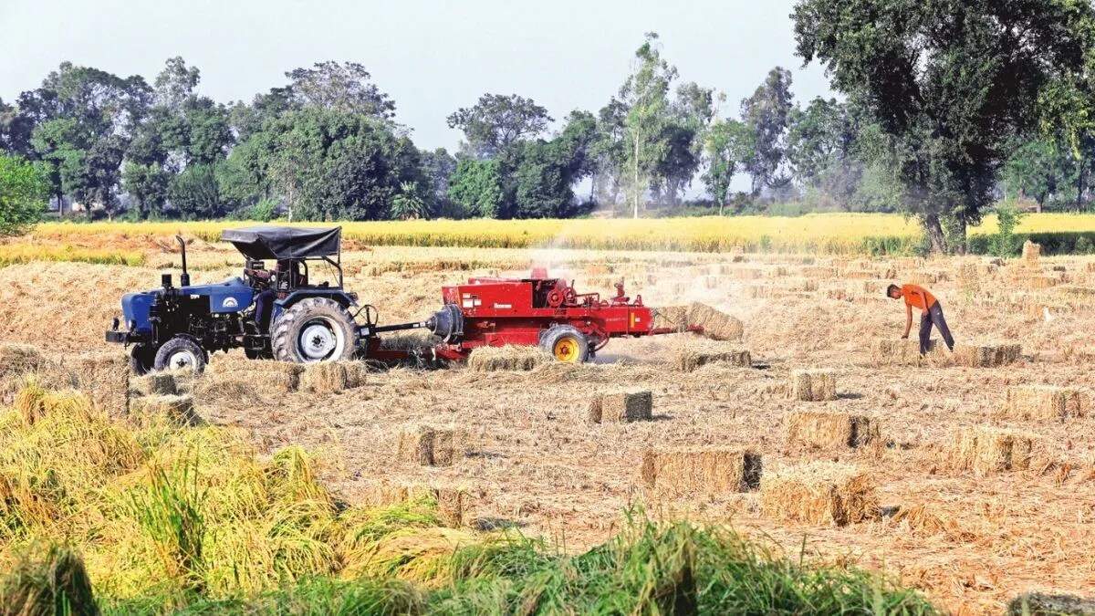 कैथल में धान की अवैध बिक्री की आशंका, प्रशासन ने शुरू की जांच