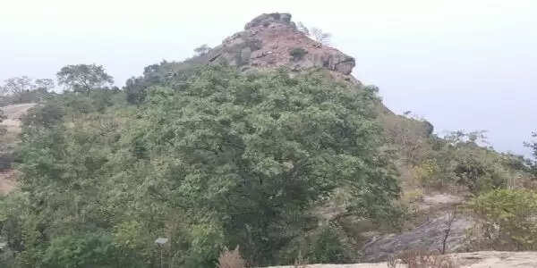 कुल और कोख की रक्षा करती है मां कौलेश्वरी, देश-विदेश से आते हैं श्रद्धालु