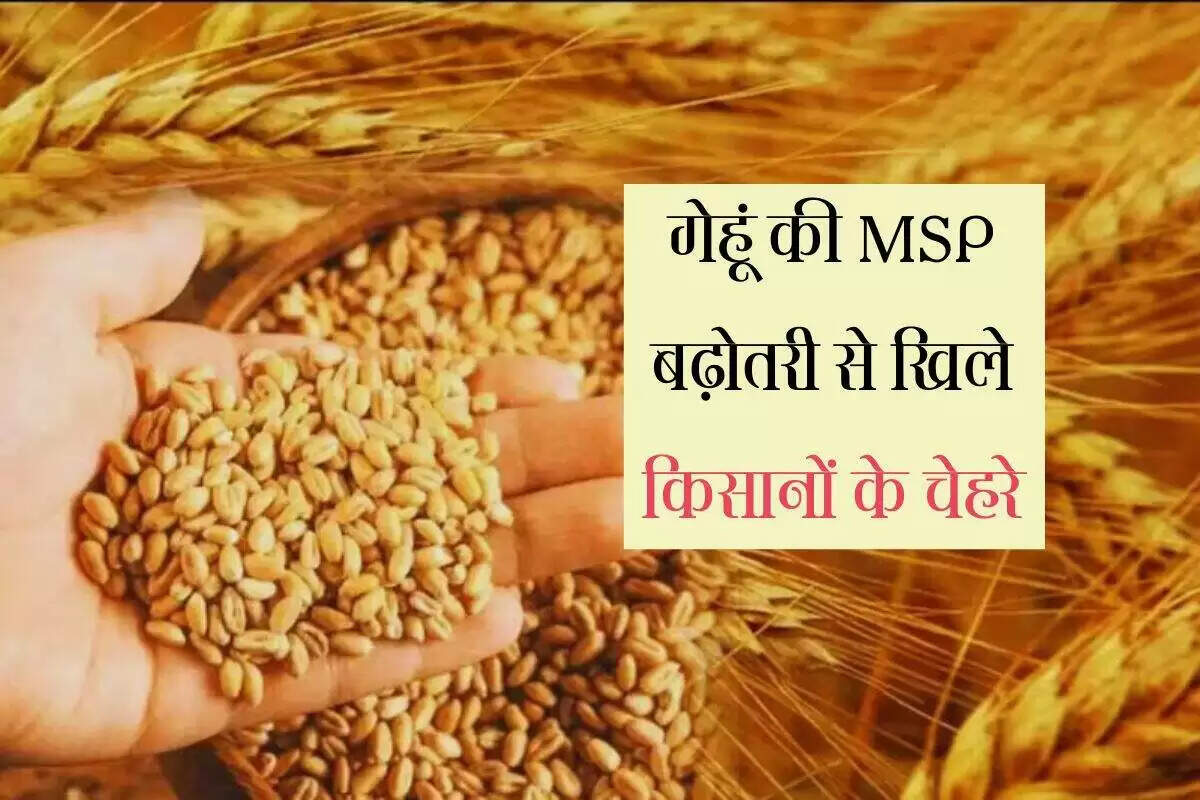 किसानों के लिए राहत: गेहूं का न्यूनतम समर्थन मूल्य बढ़ा