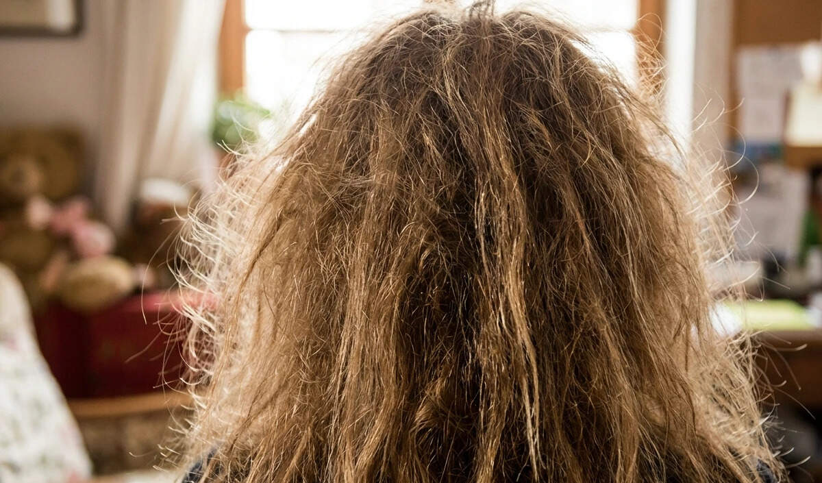 घर पर बनाएं नेचुरल कंडीशनर: बालों की देखभाल के लिए आसान उपाय