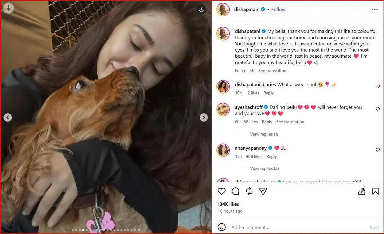 दिशा पाटनी ने खोए अपने प्यारे पालतू जानवर, फैंस हुए भावुक