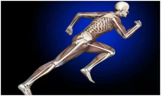 पनीर के स्वास्थ्य लाभ: हड्डियों से लेकर इम्युनिटी तक