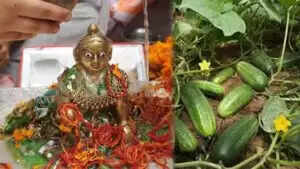 जन्माष्टमी पर खीरा काटने की परंपरा का महत्व