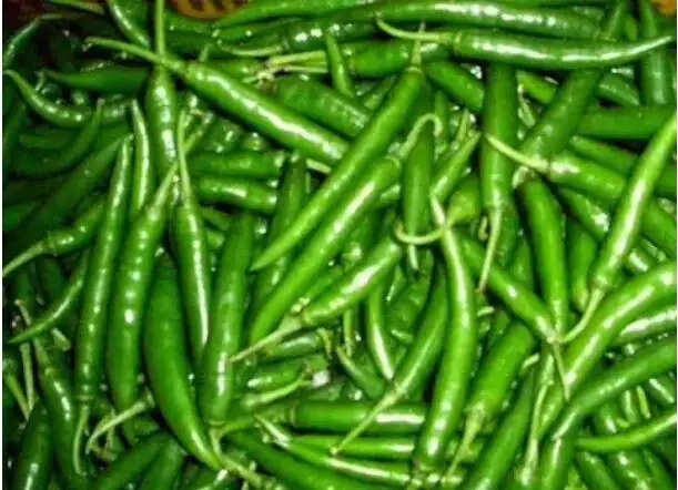 हरी मिर्च के अद्भुत स्वास्थ्य लाभ: जानें कैसे करें इसका उपयोग