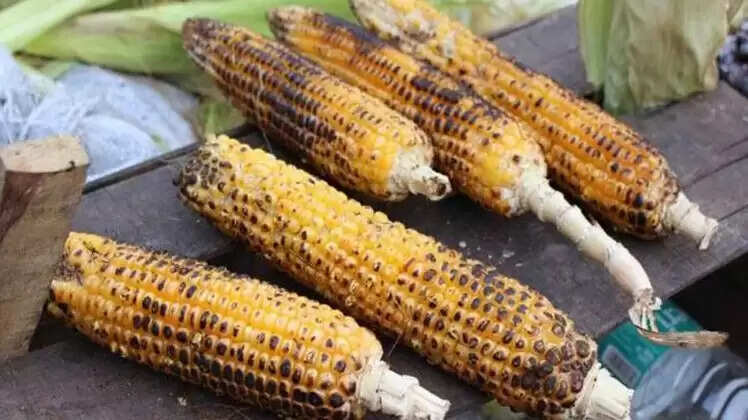 भुट्टे के बाद किन चीजों का सेवन न करें: स्वास्थ्य पर प्रभाव