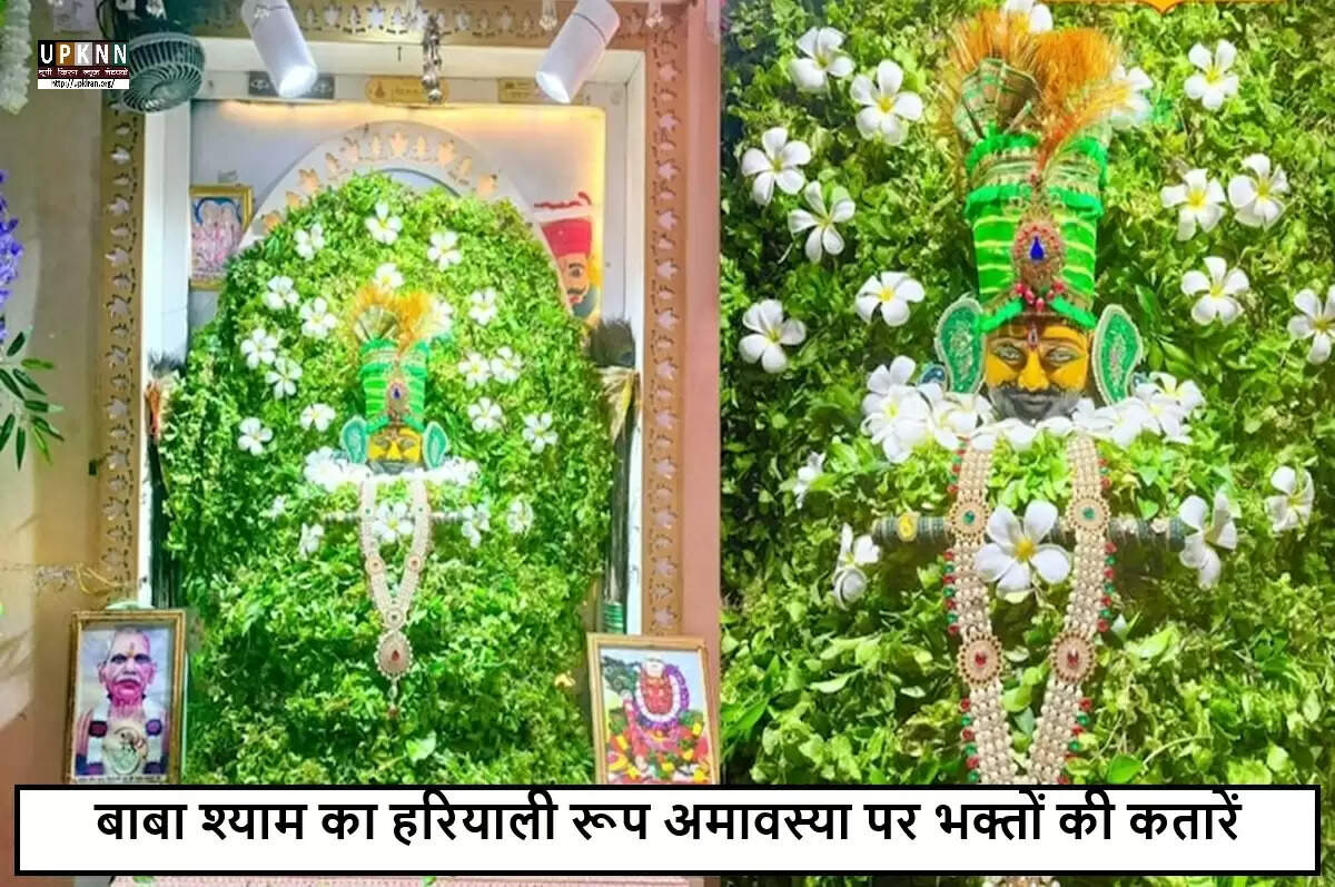 हरियाली अमावस्या: श्रद्धा और उल्लास के साथ मनाया गया पर्व