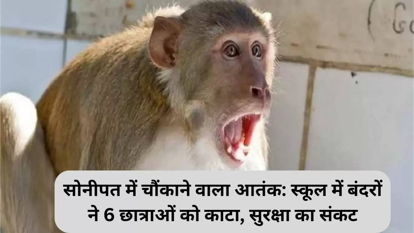 सोनीपत में स्कूल में बंदरों का आतंक: 6 छात्राओं पर हमला