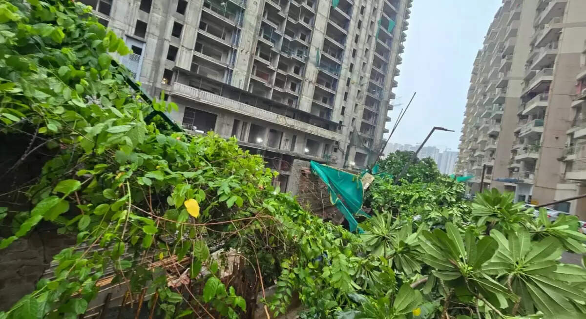 ग्रेटर नोएडा में निर्माणाधीन प्रोजेक्ट में बाउंड्रीवॉल गिरने से हड़कंप