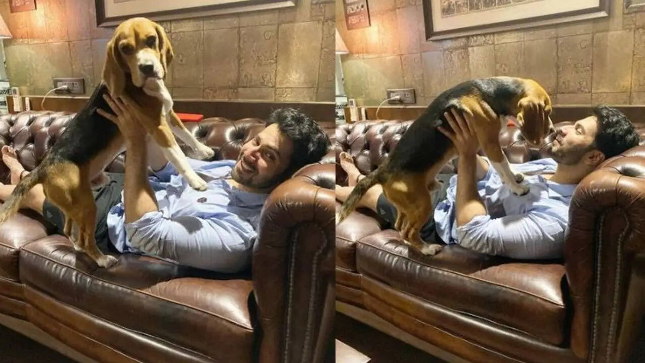 वरुण धवन की शानदार संपत्ति और लग्जरी जीवनशैली