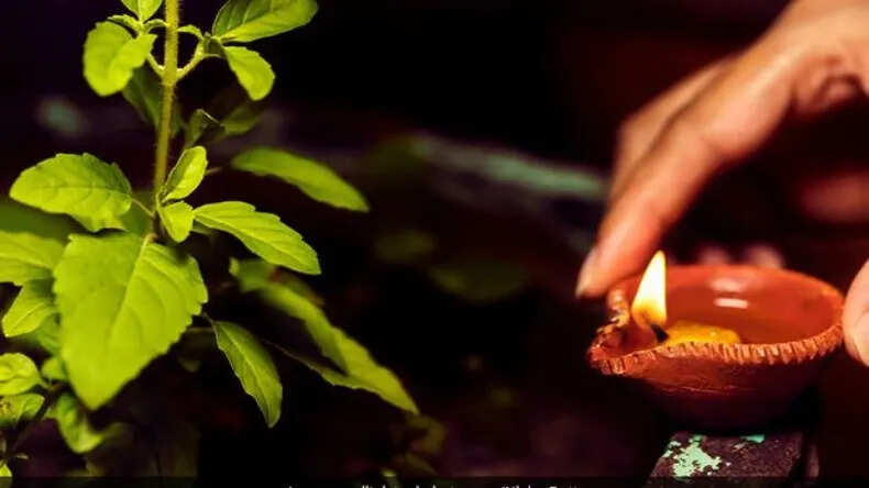 तुलसी के पास दीपक जलाने के महत्वपूर्ण नियम और उपाय