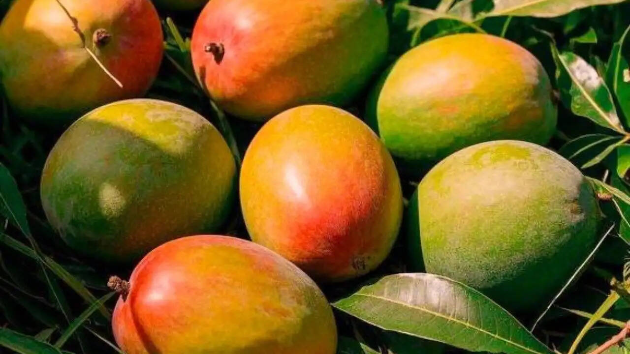 भारत में मियाजाकी आम: दुनिया का सबसे महंगा आम