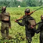 महिला नक्सली ने किया आत्मसमर्पण, 14 लाख रुपये का इनाम था घोषित