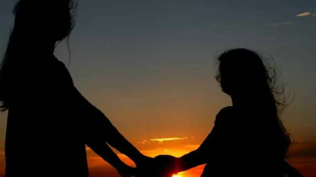 गेट्सहेड में अश्लील हरकतें: दो महिलाओं को मिली सजा