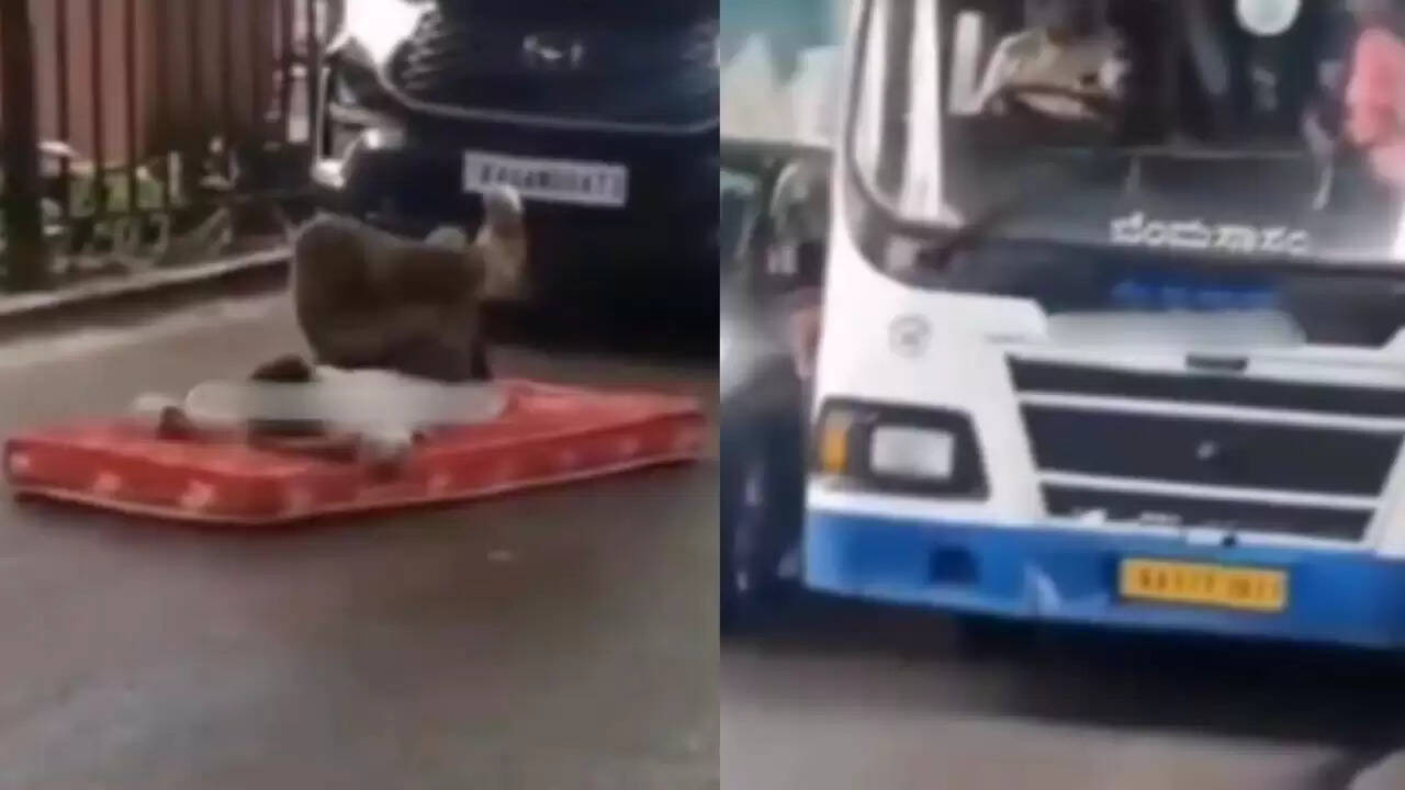 बेंगलुरु की सड़कों पर अजीबोगरीब घटना: ट्रैफिक के बीच सो गया शख्स