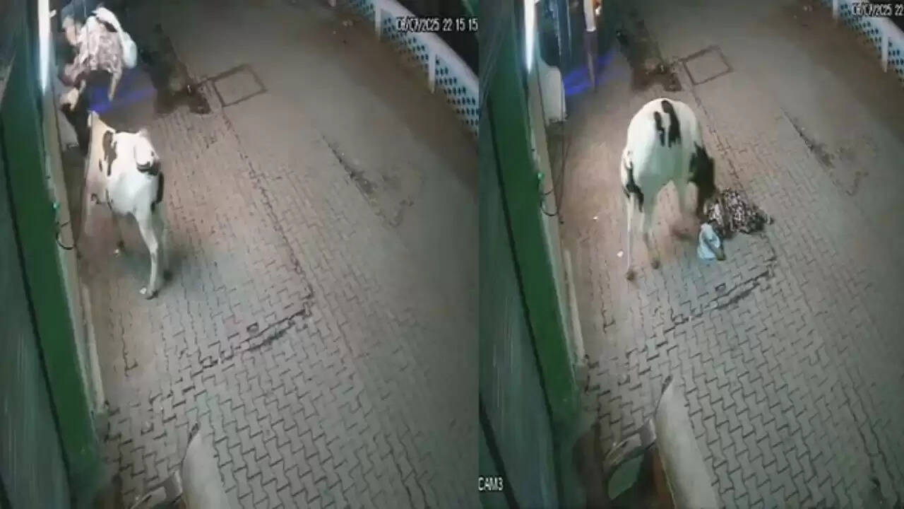 संभल में महिला पर आवारा सांड का हमला, CCTV फुटेज हुआ वायरल