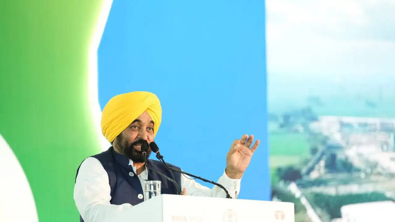 पंजाब में औद्योगिक विकास को नई दिशा, भगवंत मान ने टाटा स्टील प्लांट का उद्घाटन किया
