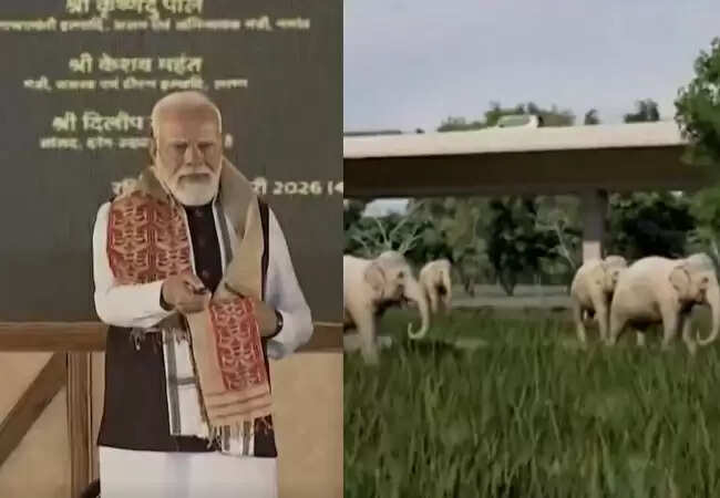 असम में काजीरंगा एलिवेटेड कॉरिडोर का शिलान्यास, पीएम मोदी ने किया उद्घाटन
