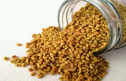 मेथी दाने के अद्भुत स्वास्थ्य लाभ