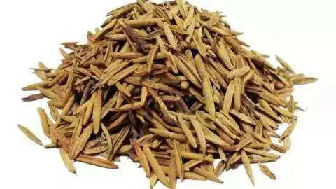 इंद्र जौ: ताकत बढ़ाने का प्राकृतिक उपाय