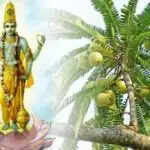 आमलकी एकादशी: जानें तिथि, पूजा विधि और महत्व