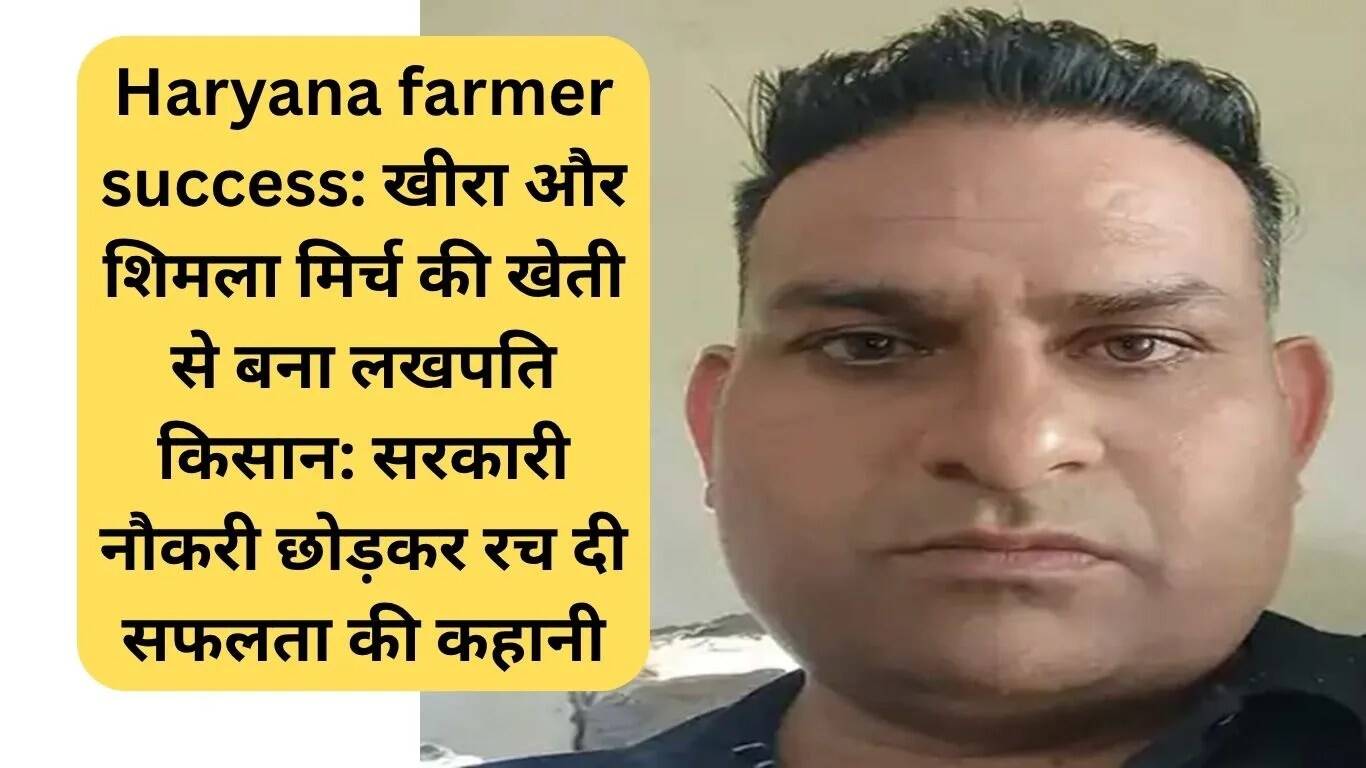 हरियाणा के किसान ने खीरा और शिमला मिर्च की खेती से बनाई सफलता की कहानी