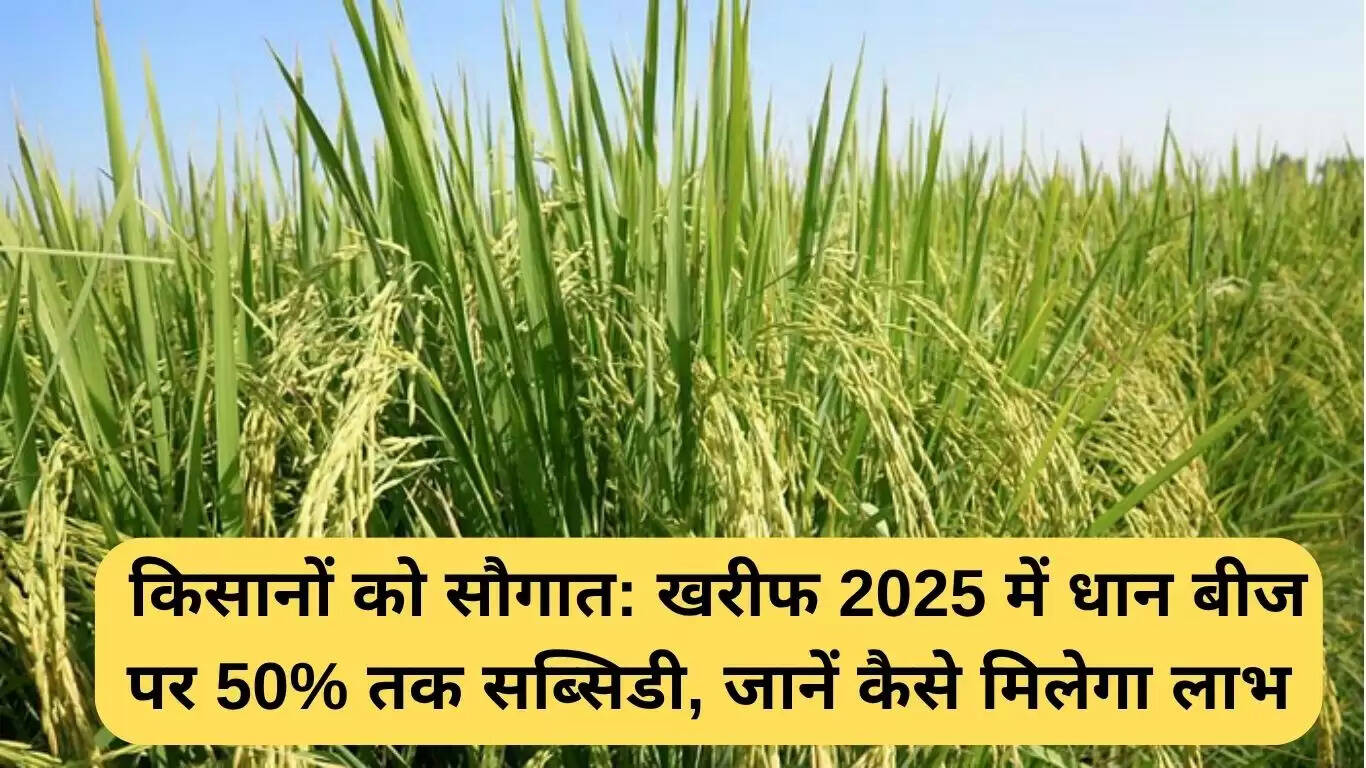 उत्तर प्रदेश में धान बीज पर 50% तक की सब्सिडी: किसानों के लिए नई उम्मीद