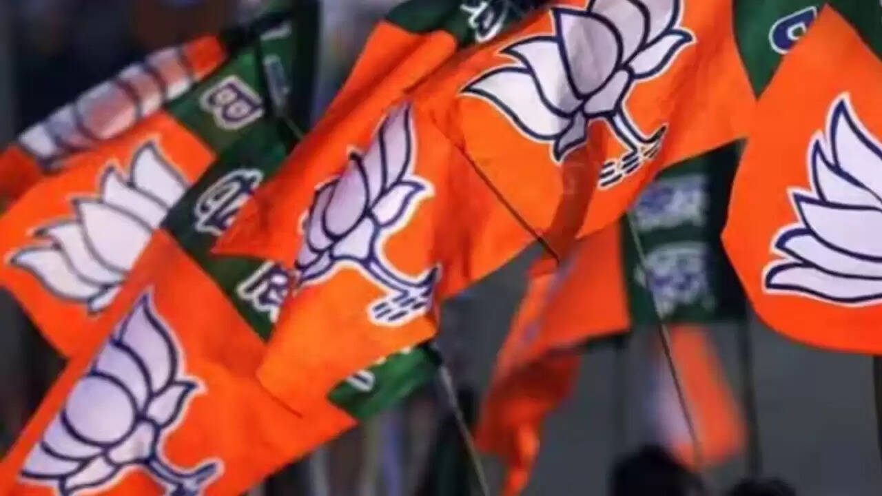 BJP के नए राष्ट्रीय अध्यक्ष के लिए चुनावी प्रक्रिया तेज, चार राज्यों में नामांकन शुरू