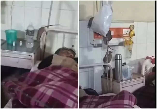 गोंडा मेडिकल कॉलेज में चूहों का आतंक, वायरल हुआ वीडियो