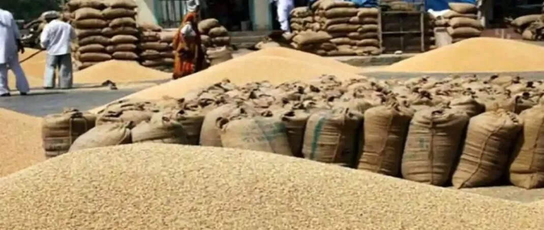 सोनीपत में 4.57 लाख मीट्रिक टन गेहूं की खरीद का कार्य जारी