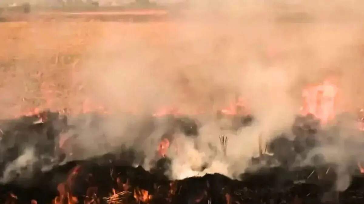 पंजाब में पराली प्रबंधन में ऐतिहासिक सफलता: किसानों ने घटाई जलाने की घटनाएं