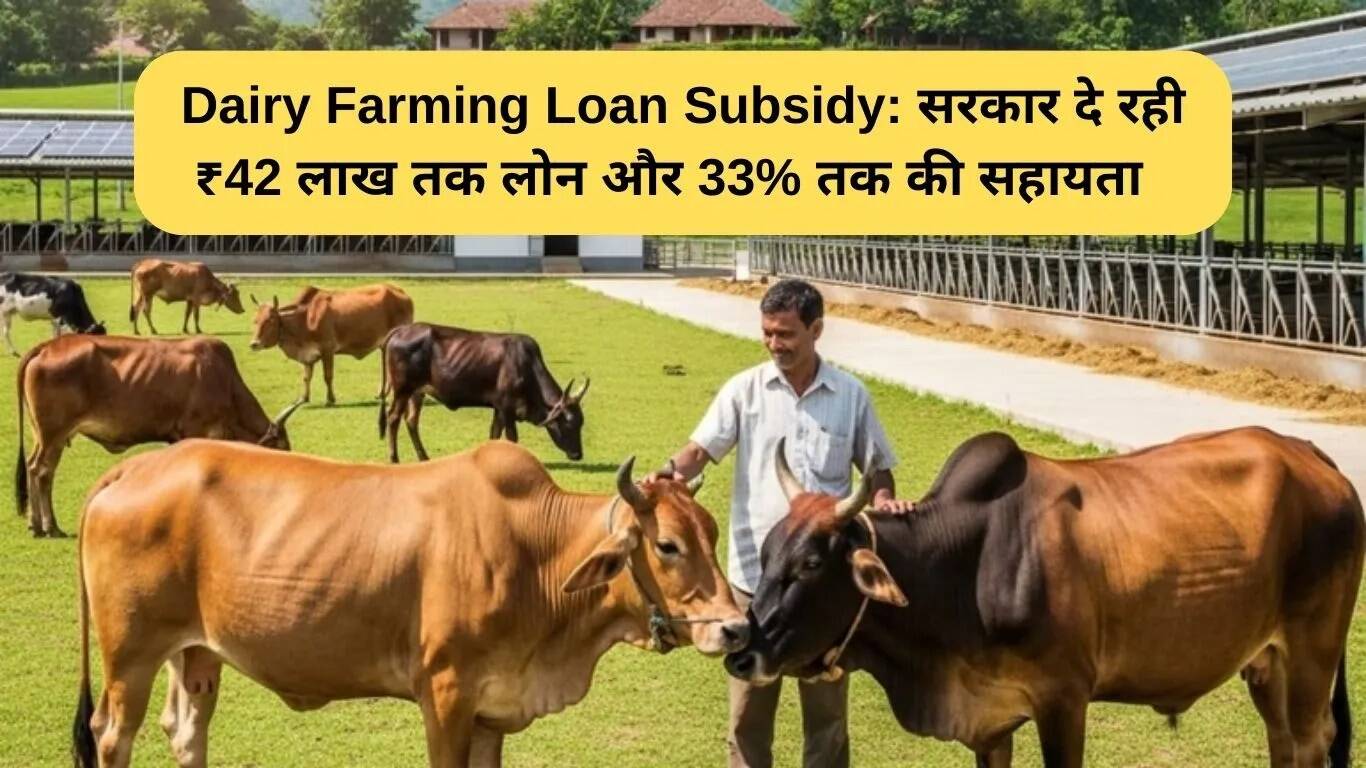 मध्यप्रदेश में डेयरी फार्मिंग के लिए लोन सब्सिडी: 42 लाख तक का लोन और 33% सहायता