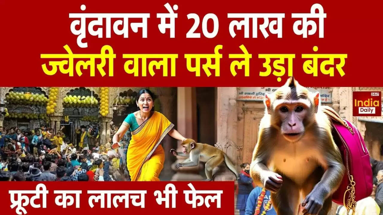 बंदरों का आतंक: मथुरा में व्यापारी महिला से लूटा 20 लाख का पर्स