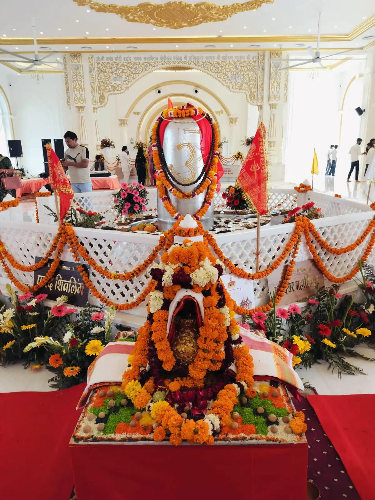 हरिद्वार में विश्व का सबसे बड़ा पारद शिवलिंग स्थापित