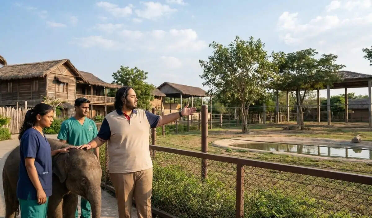 अनंत अंबानी ने कोलंबिया से दरियाई घोड़ों के स्थानांतरण का प्रस्ताव रखा