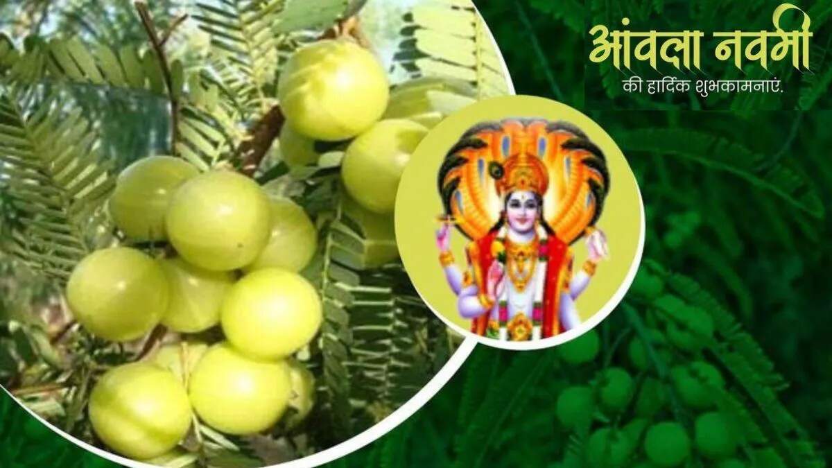 अक्षय नवमी व्रत कथा: आंवला नवमी का महत्व और पूजा विधि
