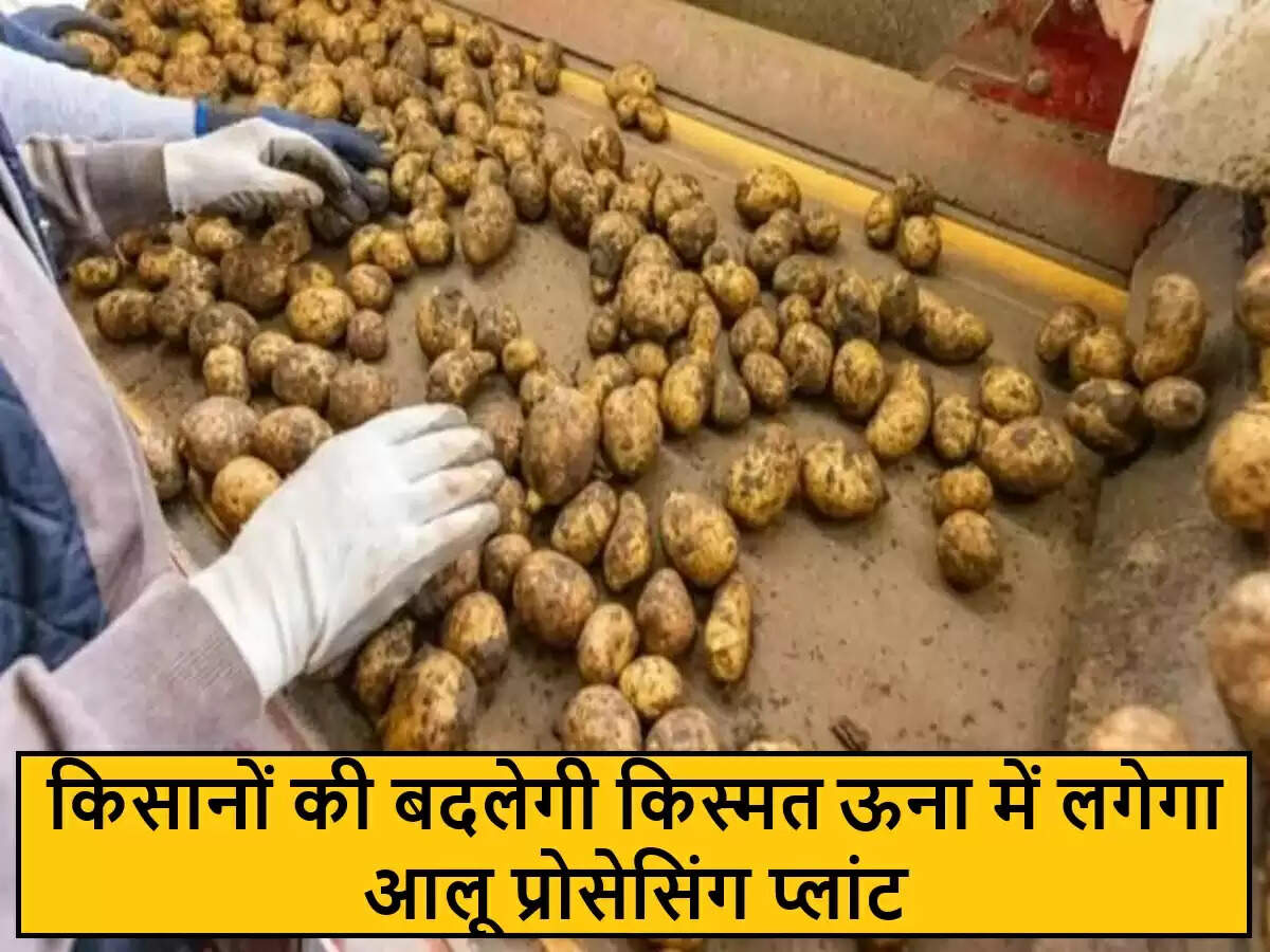 हिमाचल प्रदेश में आलू प्रोसेसिंग प्लांट की स्थापना से किसानों को मिलेगा लाभ