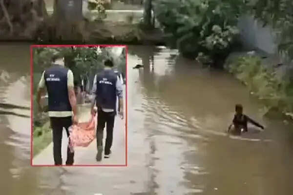 पश्चिम बंगाल में तालाब से भारी मात्रा में हथियारों की बरामदगी, TMC नेता फरार