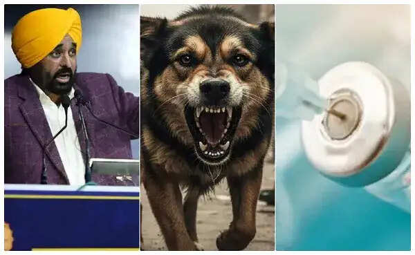 पंजाब के आम आदमी क्लीनिक में मुफ्त एंटी-रेबीज़ वैक्सीनेशन