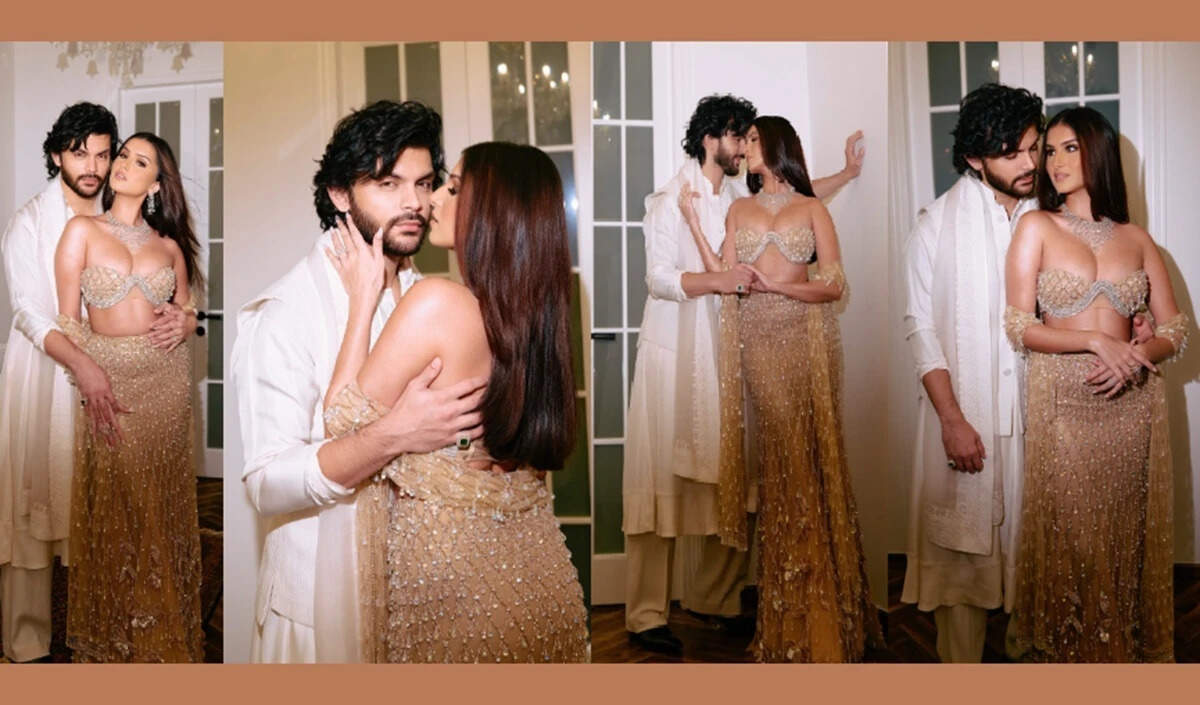 तारा सुतारिया और वीर पहाड़िया के ब्रेकअप की खबरें, फैंस में हलचल