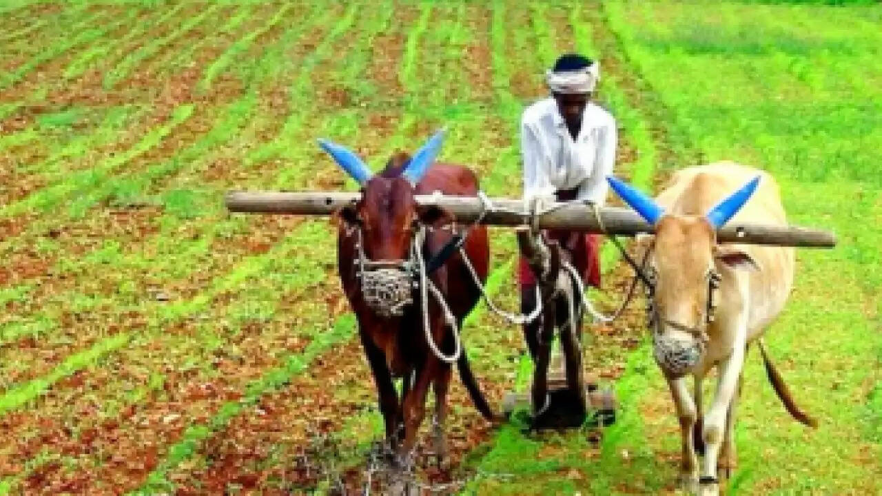 चीन द्वारा स्पेशलिटी फर्टिलाइजर्स की आपूर्ति रोकने से भारत की कृषि पर संकट