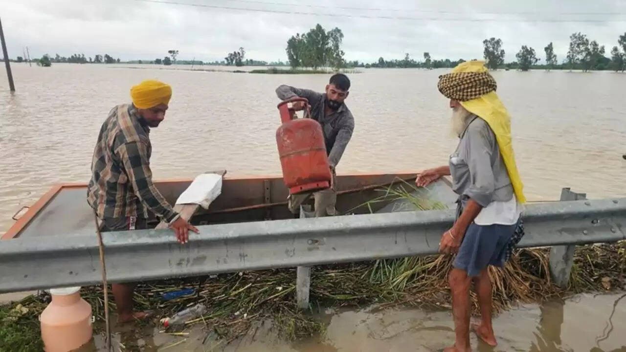 पंजाब में बाढ़ नियंत्रण: 24x7 सहायता के लिए संपर्क करें