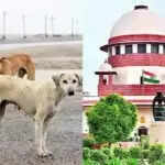 सुप्रीम कोर्ट ने आवारा कुत्तों के हमलों पर मुआवजे का आदेश दिया