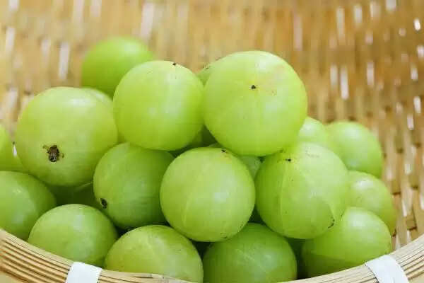 आंवला के 10 अद्भुत स्वास्थ्य लाभ